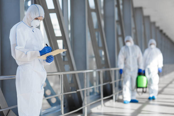 Best Biohazard Mold Removal  in Holiday, FL