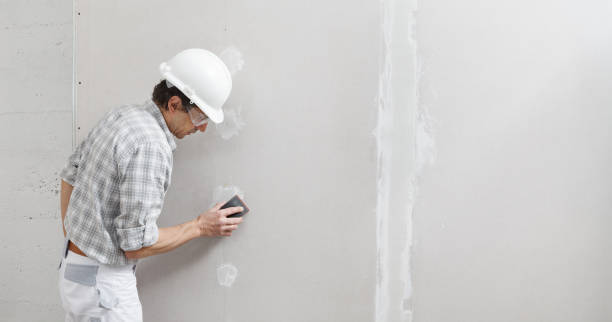 Best Mold Damage Restoration  in Holiday, FL