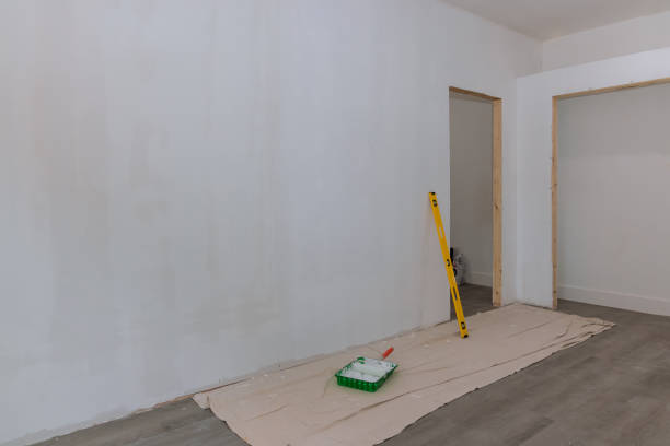  Holiday, FL Mold Removal Pros