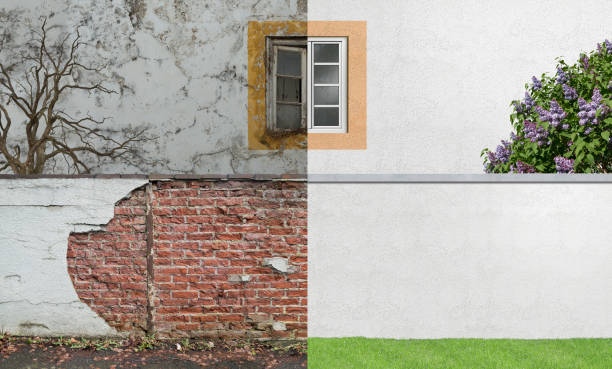 Professional Mold Removal in Holiday, FL