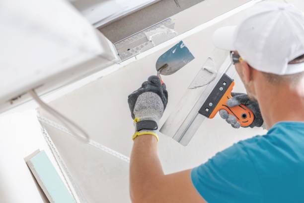 Best Black Mold Removal  in Holiday, FL